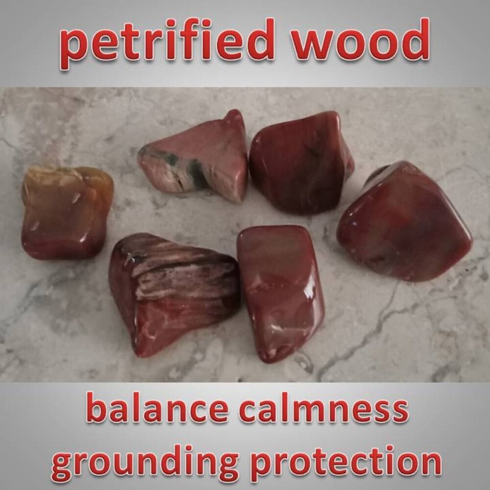 Petrified Wood tumbled fossil BALANCE calmness